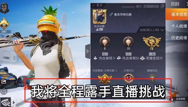 和平精英98k耀虎外挂